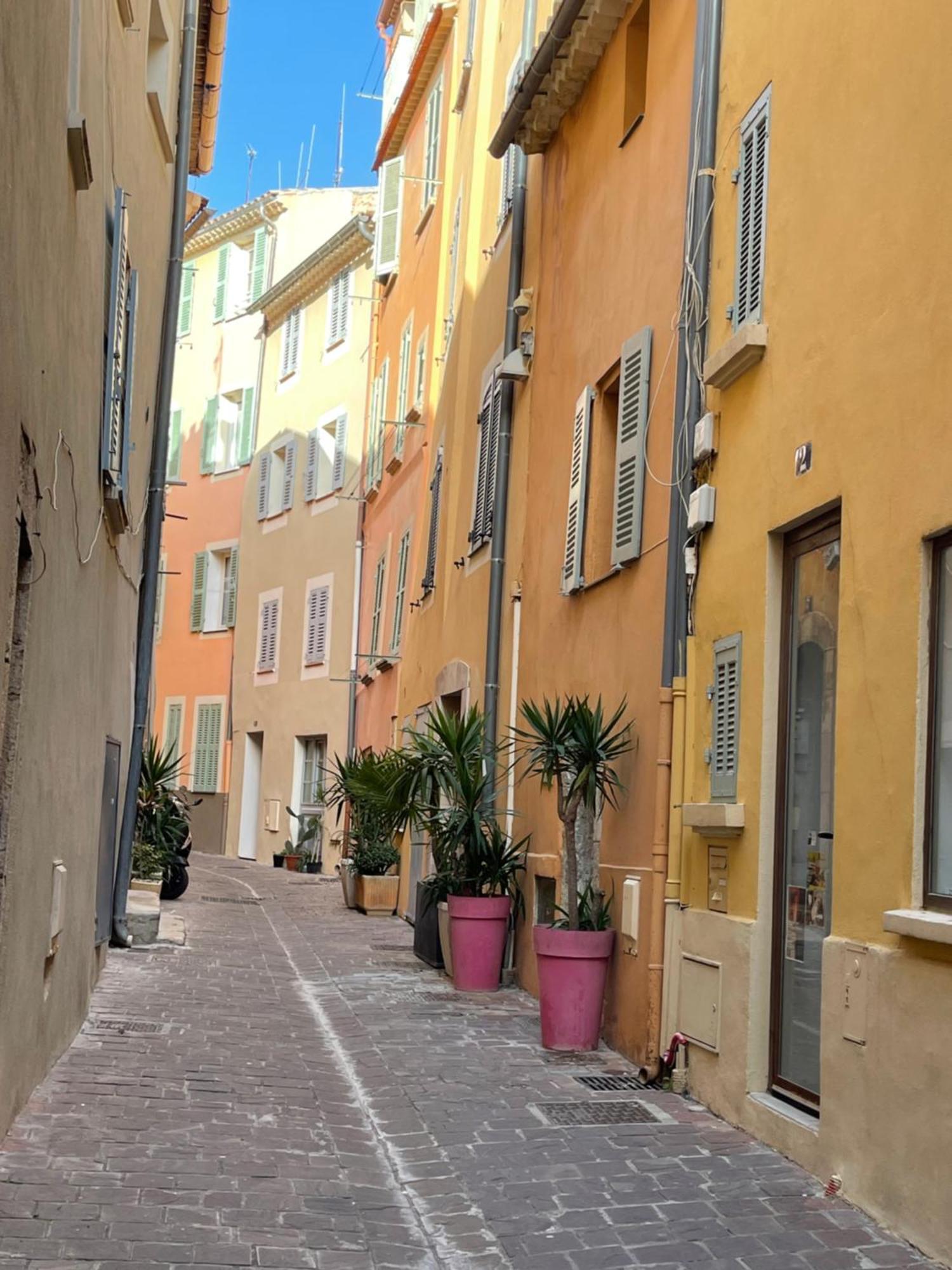 Le Palmae, Serenite Et Charme En Coeur De Ville Hyères Esterno foto